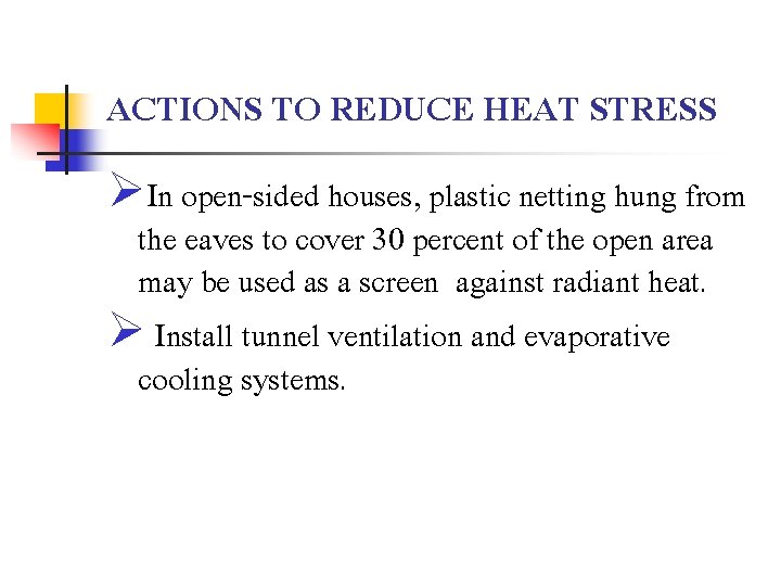 ACTIONS TO REDUCE HEAT STRESS ØIn open-sided houses, plastic netting hung from the eaves