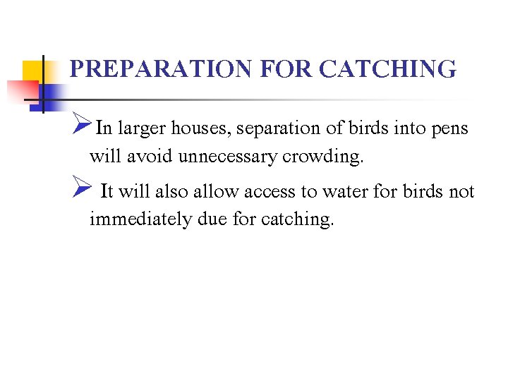 PREPARATION FOR CATCHING ØIn larger houses, separation of birds into pens will avoid unnecessary