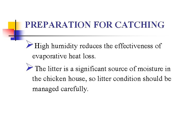 PREPARATION FOR CATCHING ØHigh humidity reduces the effectiveness of evaporative heat loss. ØThe litter