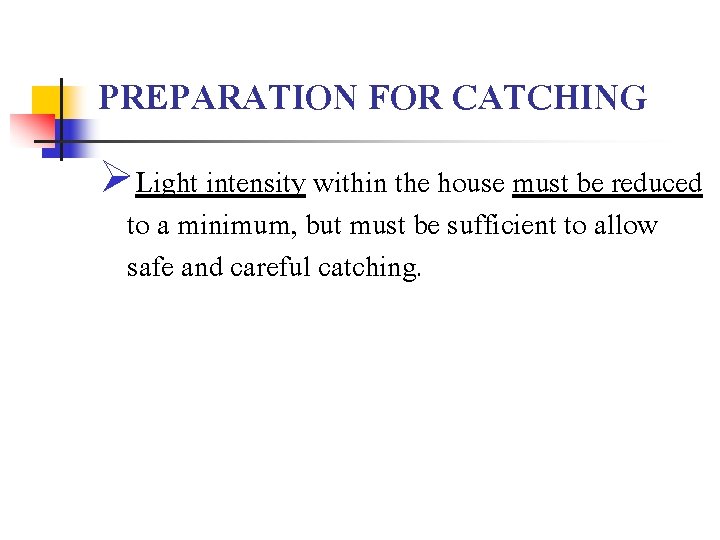 PREPARATION FOR CATCHING ØLight intensity within the house must be reduced to a minimum,