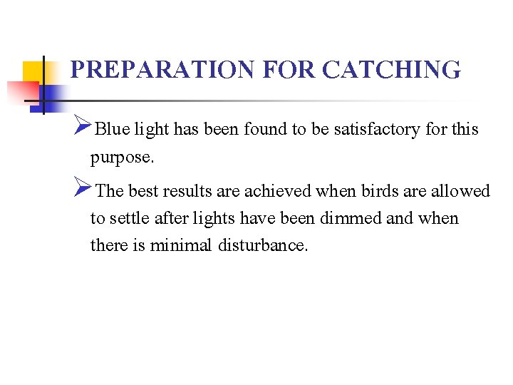 PREPARATION FOR CATCHING ØBlue light has been found to be satisfactory for this purpose.