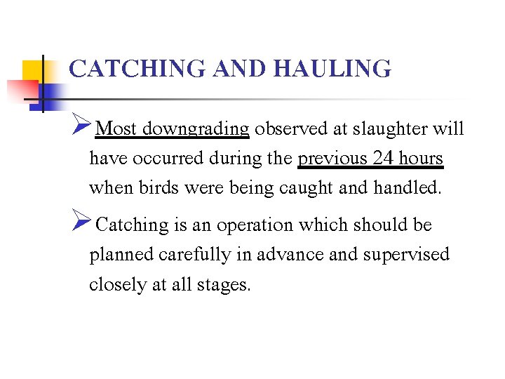 CATCHING AND HAULING ØMost downgrading observed at slaughter will have occurred during the previous