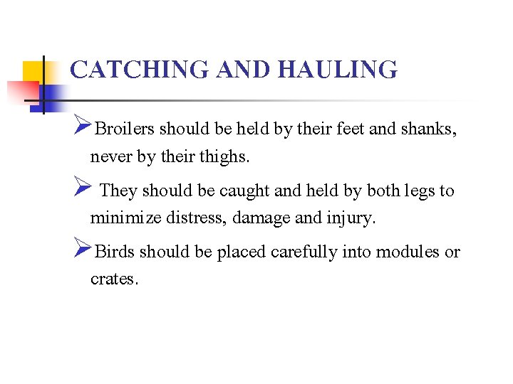 CATCHING AND HAULING ØBroilers should be held by their feet and shanks, never by