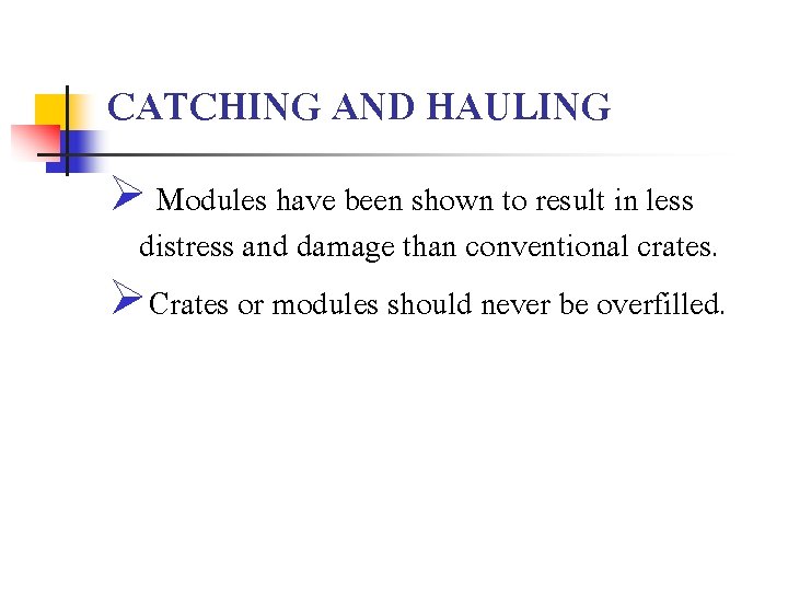 CATCHING AND HAULING Ø Modules have been shown to result in less distress and
