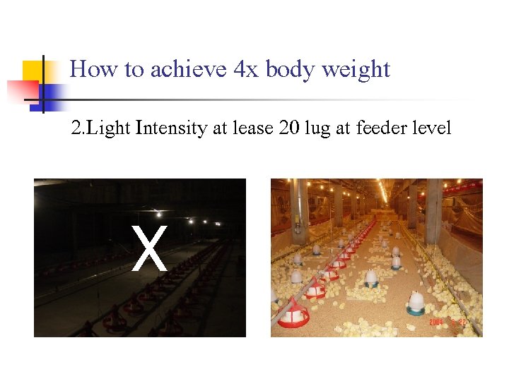 How to achieve 4 x body weight 2. Light Intensity at lease 20 lug