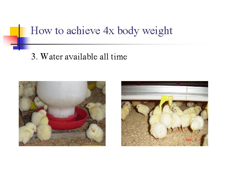 How to achieve 4 x body weight 3. Water available all time 