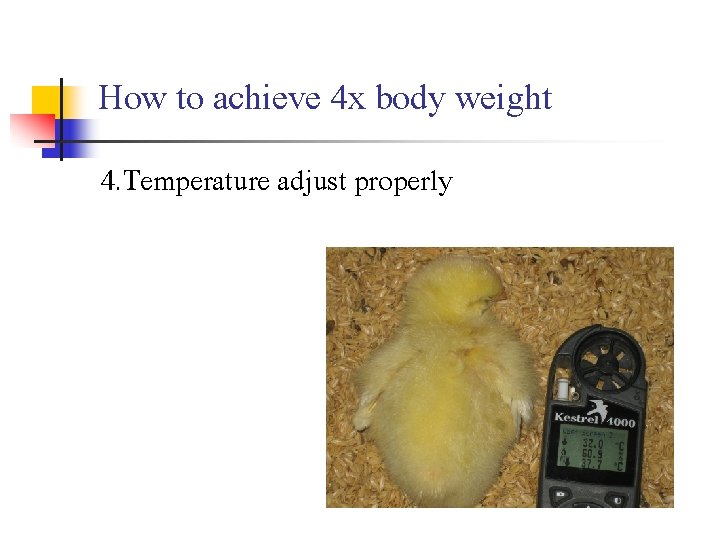 How to achieve 4 x body weight 4. Temperature adjust properly 