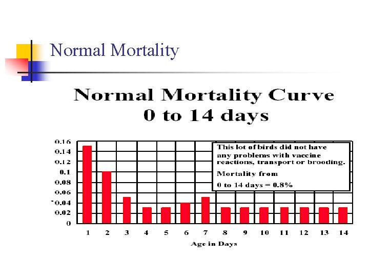 Normal Mortality 