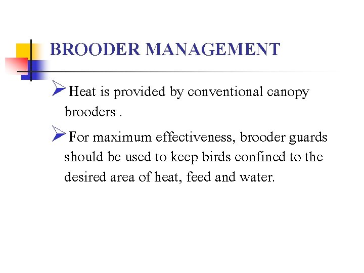 BROODER MANAGEMENT ØHeat is provided by conventional canopy brooders. ØFor maximum effectiveness, brooder guards