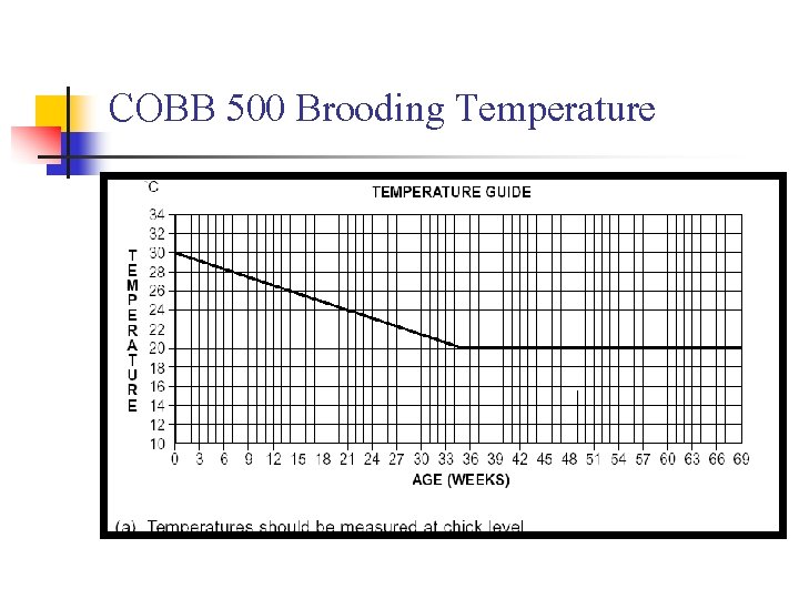 COBB 500 Brooding Temperature 