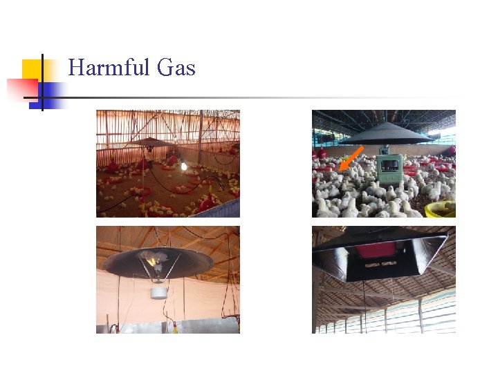 Harmful Gas 