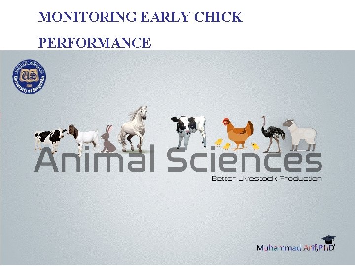 MONITORING EARLY CHICK PERFORMANCE 