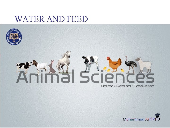 WATER AND FEED 