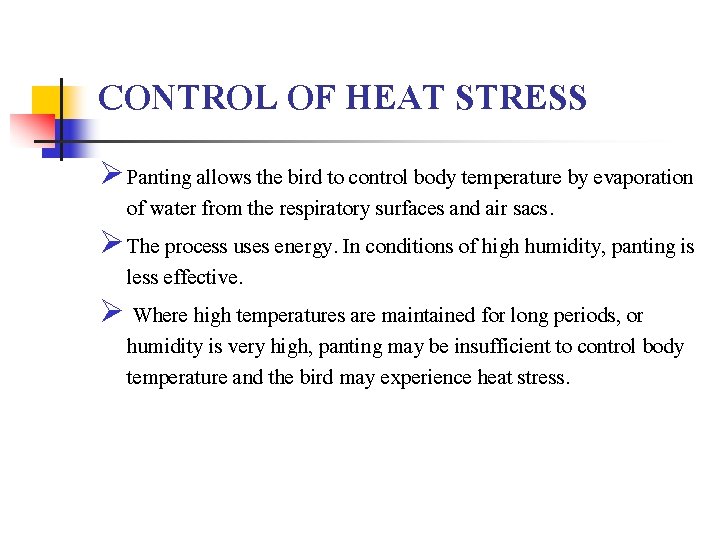 CONTROL OF HEAT STRESS Ø Panting allows the bird to control body temperature by