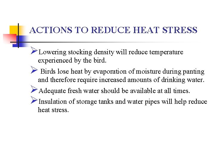 ACTIONS TO REDUCE HEAT STRESS ØLowering stocking density will reduce temperature experienced by the