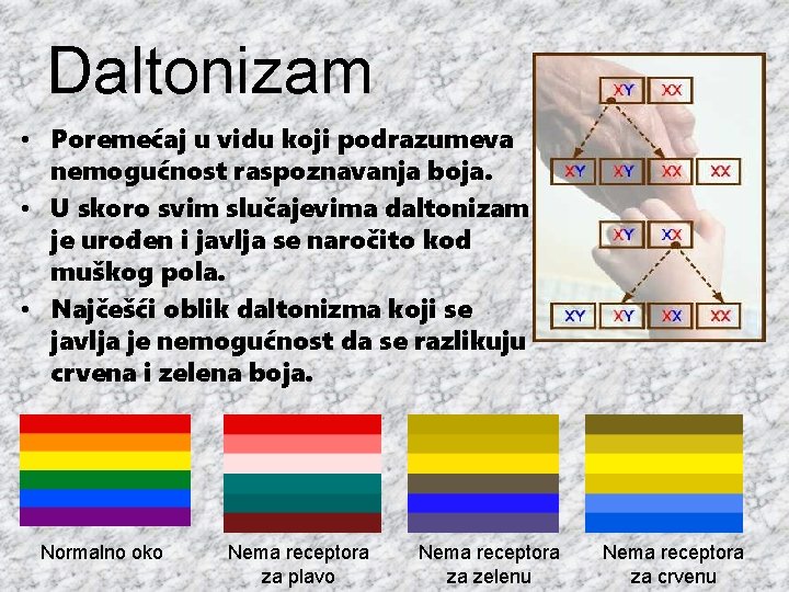 Daltonizam • Poremećaj u vidu koji podrazumeva nemogućnost raspoznavanja boja. • U skoro svim