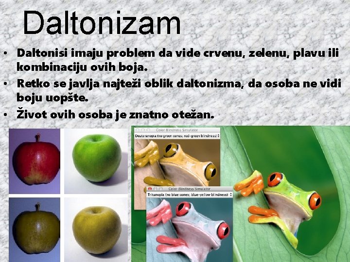 Daltonizam • Daltonisi imaju problem da vide crvenu, zelenu, plavu ili kombinaciju ovih boja.