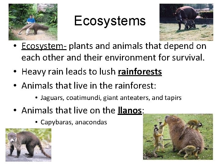 Ecosystems • Ecosystem- plants and animals that depend on each other and their environment