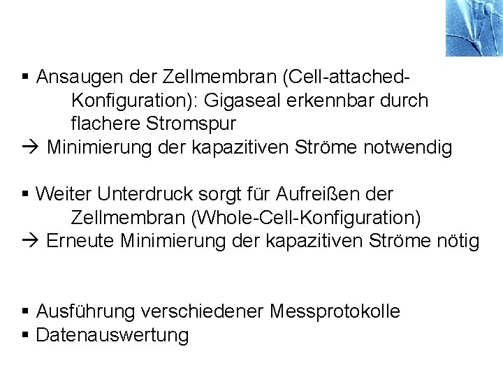 § Ansaugen der Zellmembran (Cell-attached. Konfiguration): Gigaseal erkennbar durch flachere Stromspur Minimierung der kapazitiven