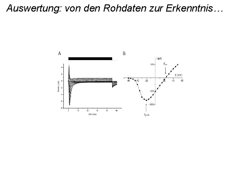 Auswertung: von den Rohdaten zur Erkenntnis… 
