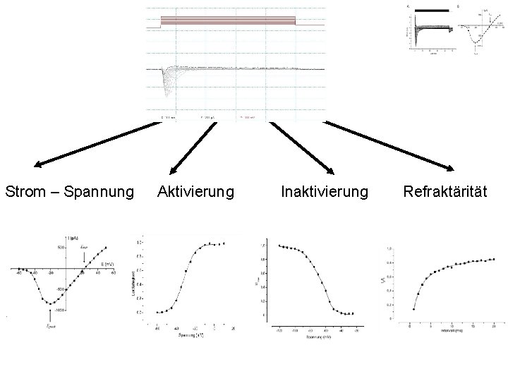 Strom – Spannung Aktivierung Inaktivierung Refraktärität 