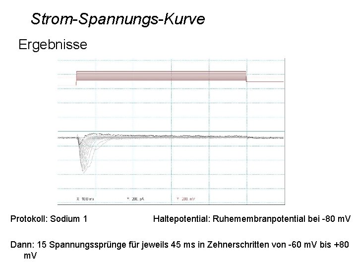 Strom-Spannungs-Kurve Ergebnisse Protokoll: Sodium 1 Haltepotential: Ruhemembranpotential bei -80 m. V Dann: 15 Spannungssprünge