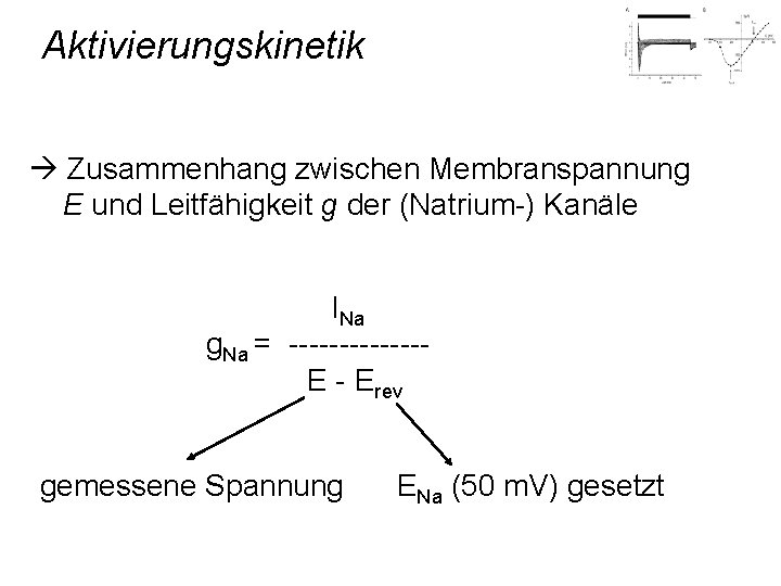 Aktivierungskinetik Zusammenhang zwischen Membranspannung E und Leitfähigkeit g der (Natrium-) Kanäle INa g. Na