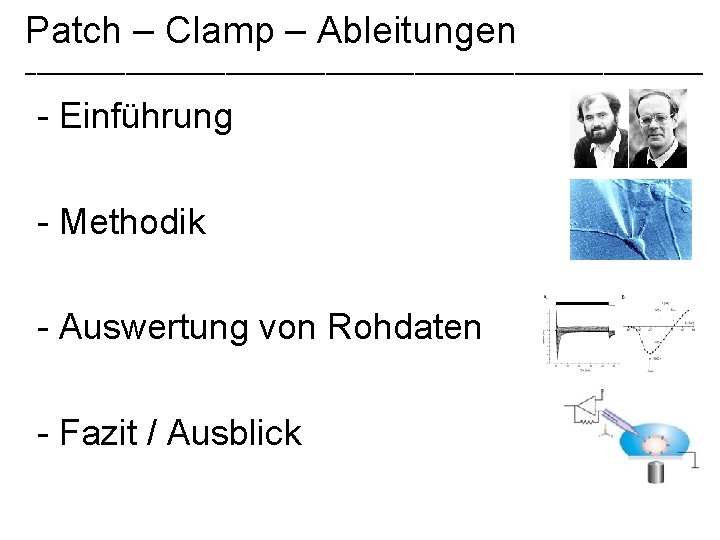 Patch – Clamp – Ableitungen _______________________________ - Einführung - Methodik - Auswertung von Rohdaten