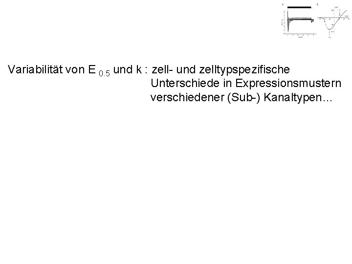 Variabilität von E 0. 5 und k : zell- und zelltypspezifische Unterschiede in Expressionsmustern