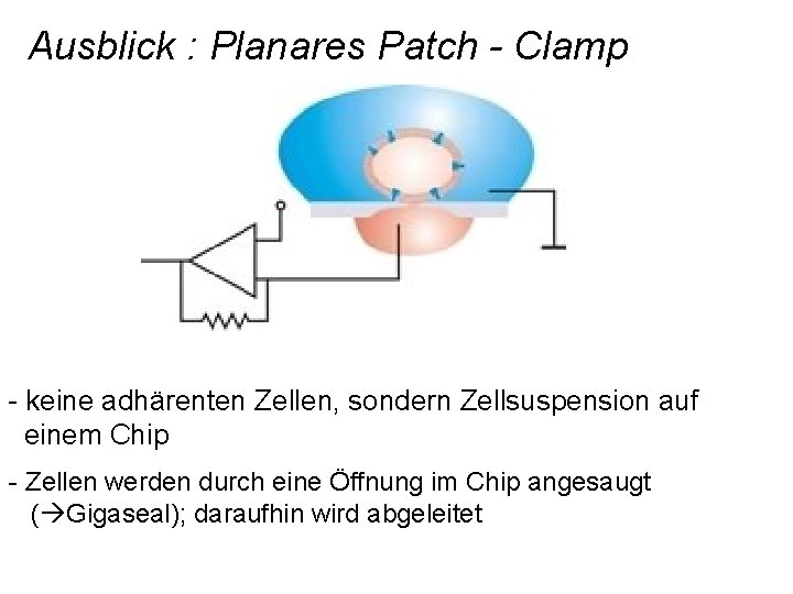 Ausblick : Planares Patch - Clamp - keine adhärenten Zellen, sondern Zellsuspension auf einem