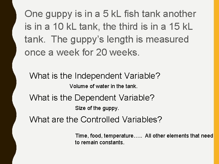 One guppy is in a 5 k. L fish tank another is in a