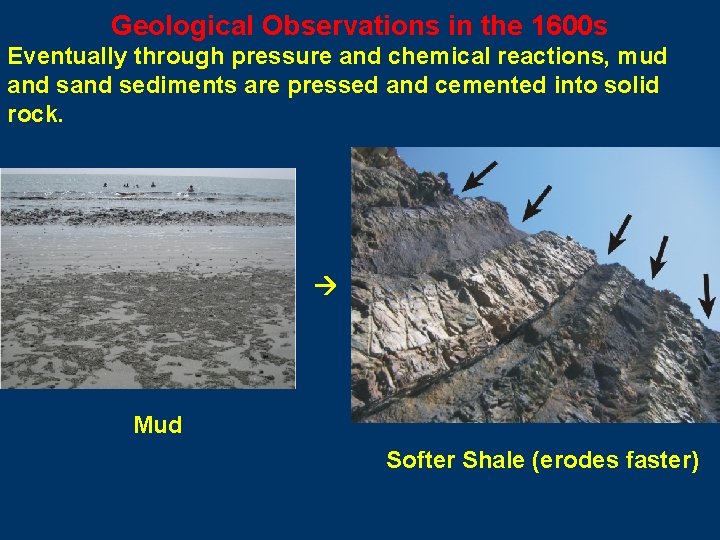 Geological Observations in the 1600 s Eventually through pressure and chemical reactions, mud and