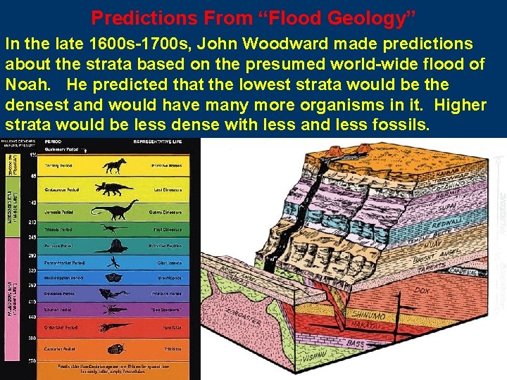 Predictions From “Flood Geology” In the late 1600 s-1700 s, John Woodward made predictions