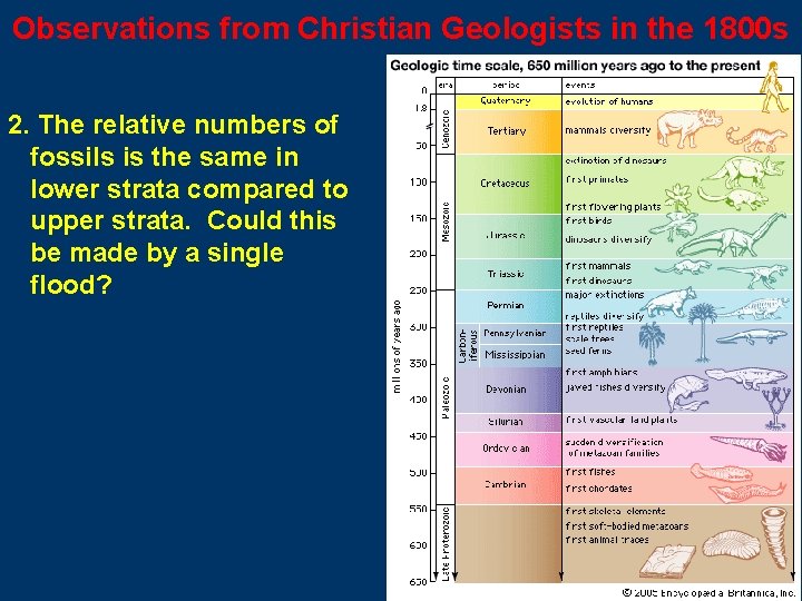 Observations from Christian Geologists in the 1800 s 2. The relative numbers of fossils