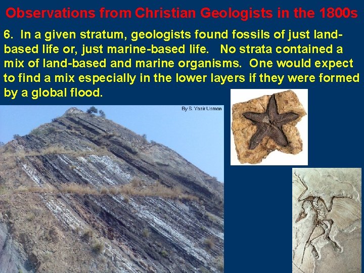 Observations from Christian Geologists in the 1800 s 6. In a given stratum, geologists