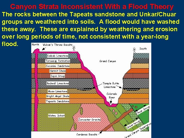 Canyon Strata Inconsistent With a Flood Theory The rocks between the Tapeats sandstone and