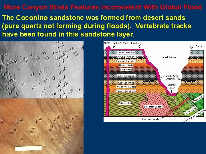 More Canyon Strata Features Inconsistent With Global Flood The Coconino sandstone was formed from