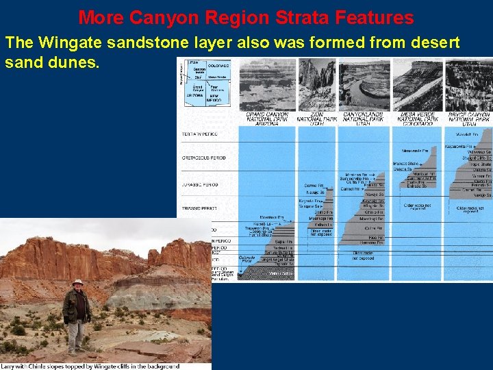 More Canyon Region Strata Features The Wingate sandstone layer also was formed from desert