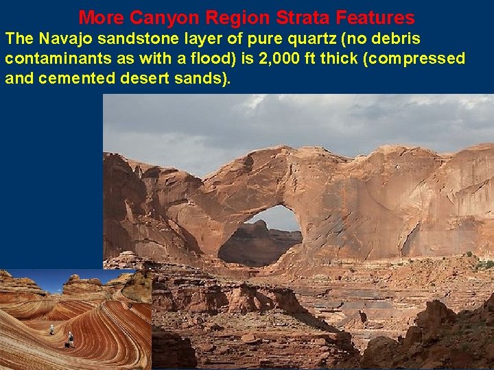 More Canyon Region Strata Features The Navajo sandstone layer of pure quartz (no debris