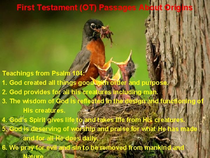 First Testament (OT) Passages About Origins Teachings from Psalm 104: 1. God created all