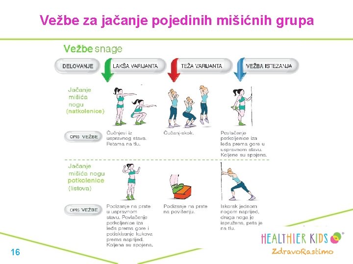 Vežbe za jačanje pojedinih mišićnih grupa 16 