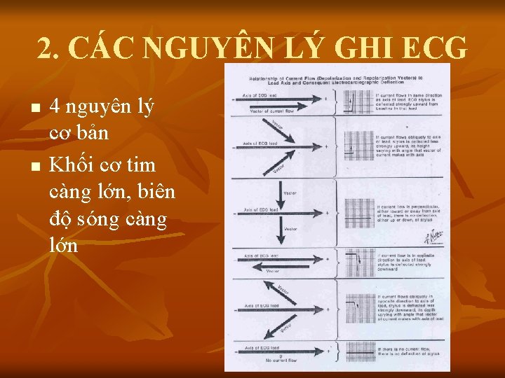 2. CÁC NGUYÊN LÝ GHI ECG n n 4 nguyên lý cơ bản Khối