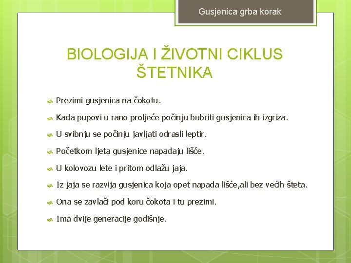 Gusjenica grba korak BIOLOGIJA I ŽIVOTNI CIKLUS ŠTETNIKA Prezimi gusjenica na čokotu. Kada pupovi