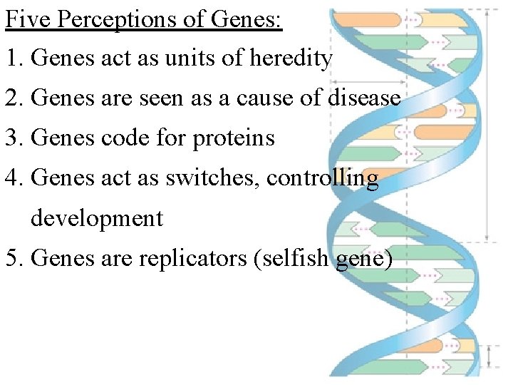 Five Perceptions of Genes: 1. Genes act as units of heredity 2. Genes are