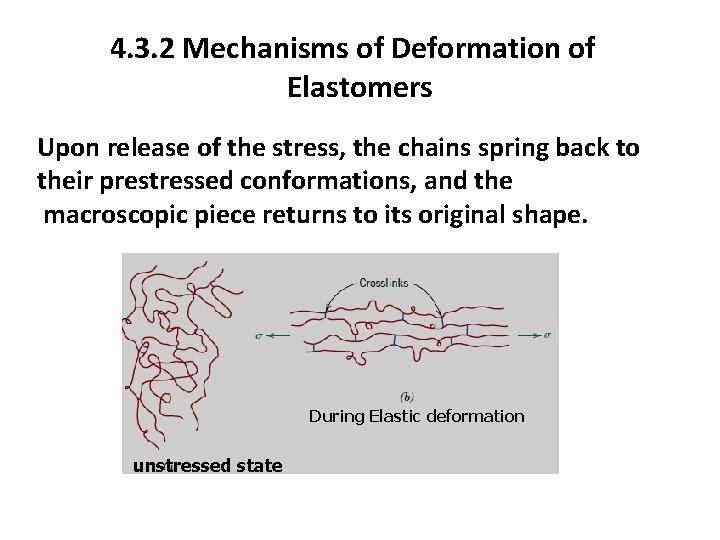 4. 3. 2 Mechanisms of Deformation of Elastomers Upon release of the stress, the