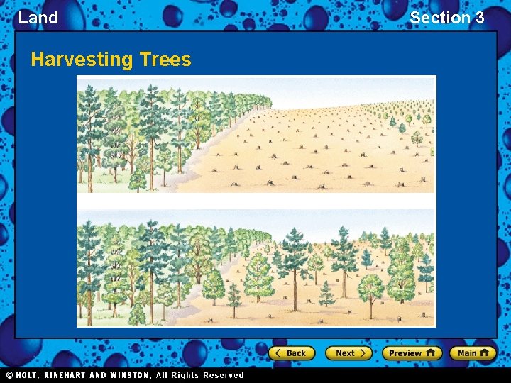 Land Harvesting Trees Section 3 