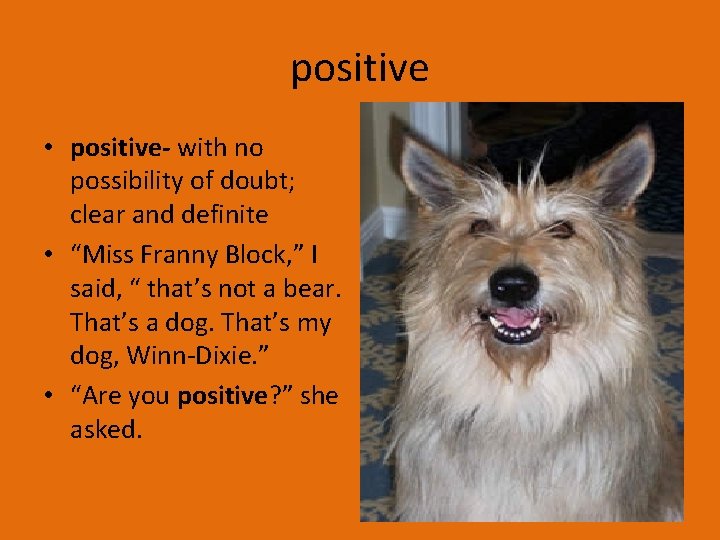 positive • positive- with no possibility of doubt; clear and definite • “Miss Franny