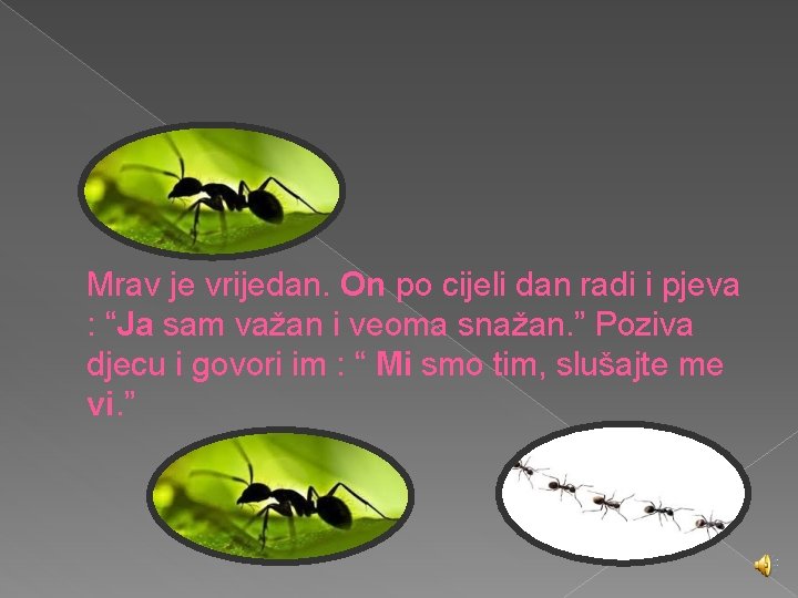 Mrav je vrijedan. On po cijeli dan radi i pjeva : “Ja sam važan