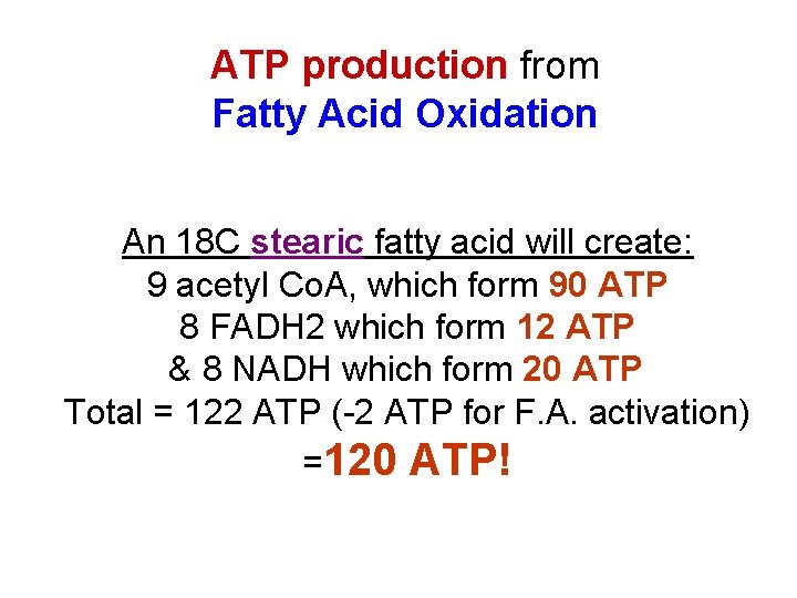 ATP production from Fatty Acid Oxidation An 18 C stearic fatty acid will create:
