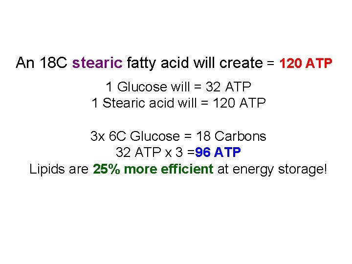 An 18 C stearic fatty acid will create = 120 ATP 1 Glucose will
